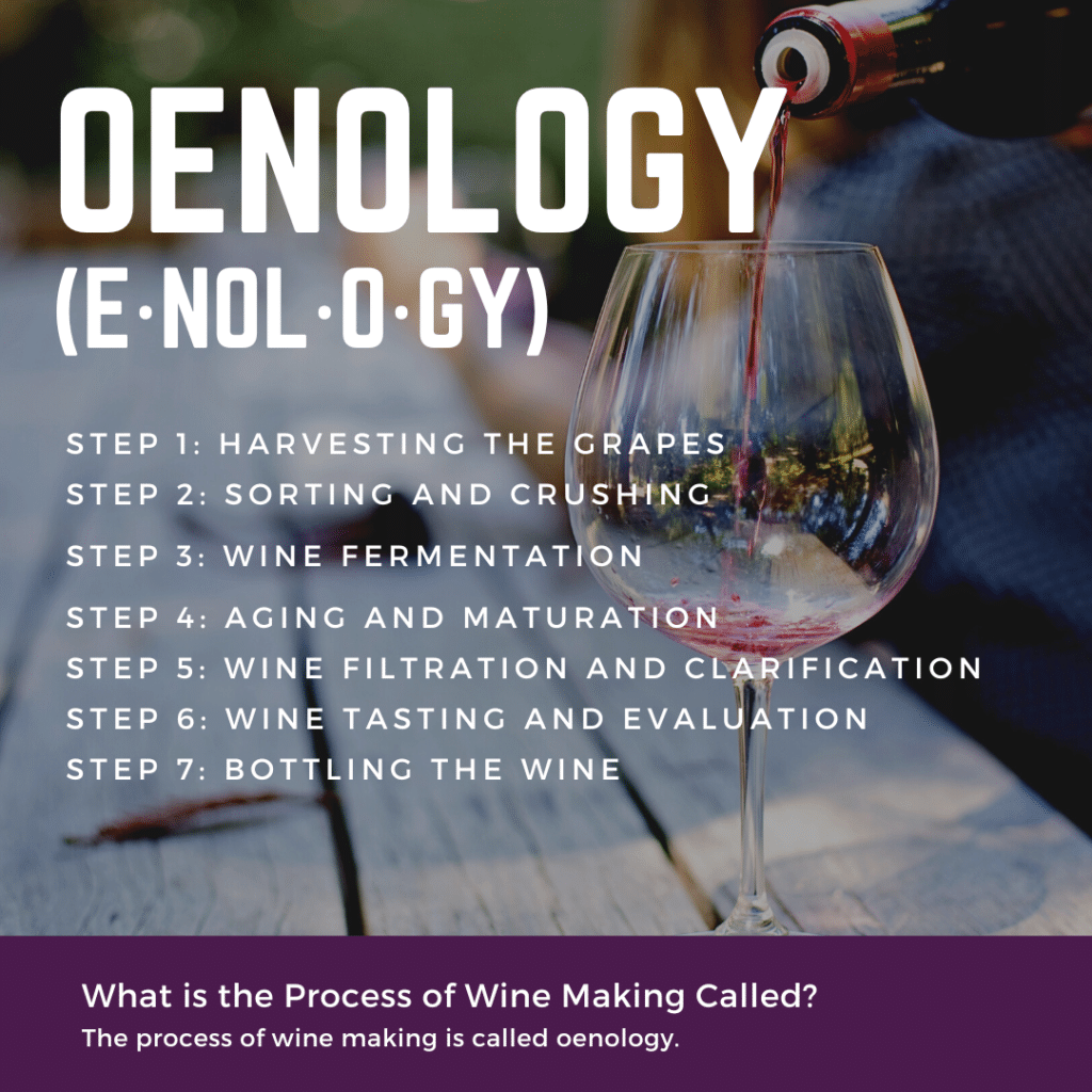 The process of wine making is called oenology.