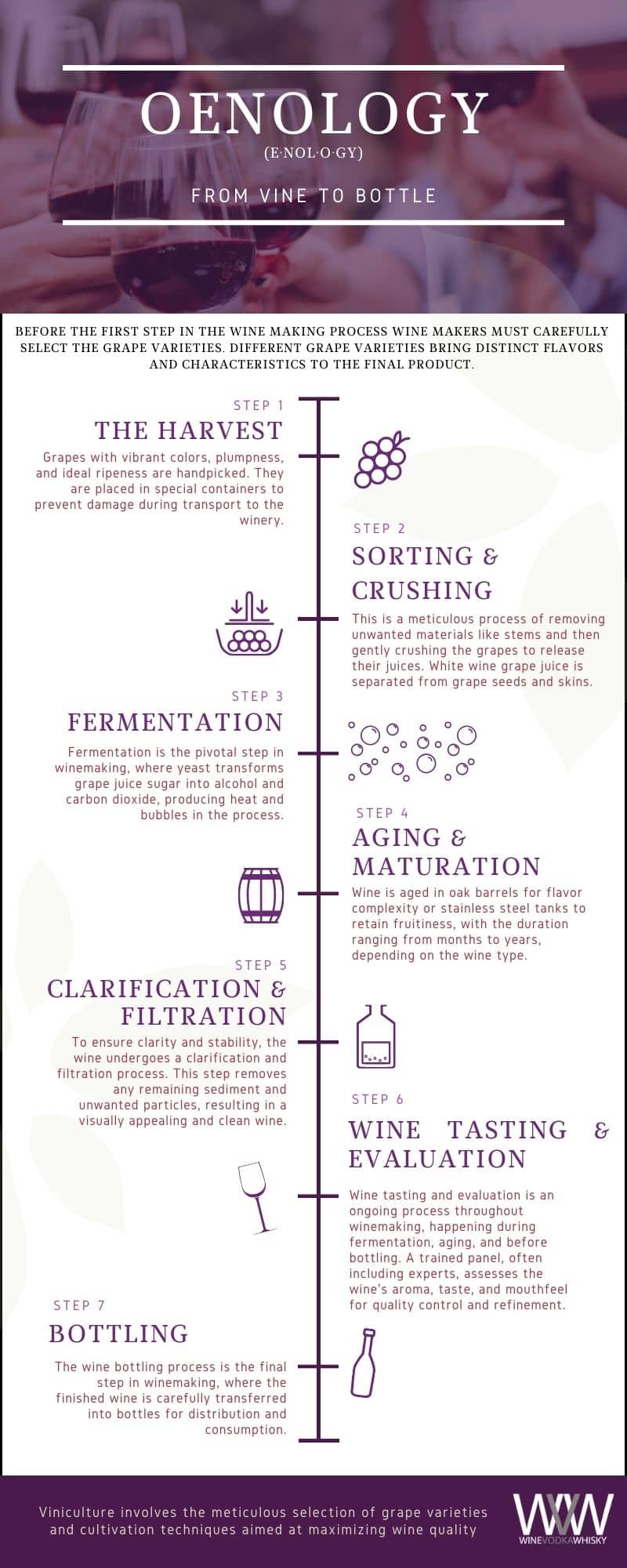 7 Steps of the Wine Making Process